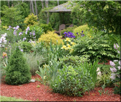 Charleston, SC - Landscaping - Sprinklers - Hart's Landscaping