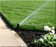 Charleston, SC - Landscaping - Sprinklers - Hart's Landscaping